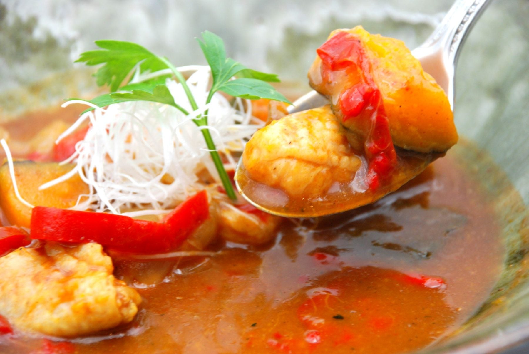 器に盛りつけたスープカレー