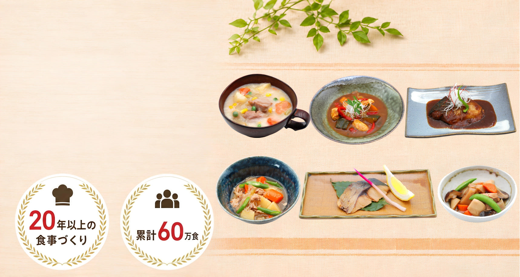 クリームシチュー・スープカレー・サバの味噌煮・肉じゃが・焼き魚・煮物などのレトルト惣菜。20年以上の食事づくり、累計60万食